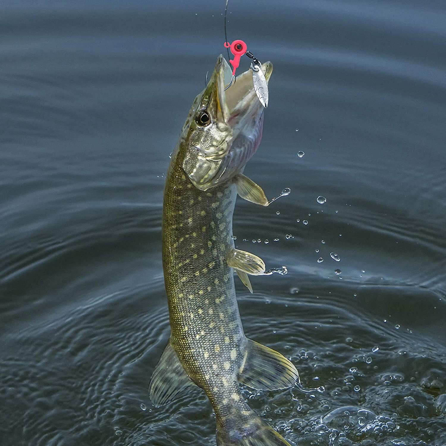 50 Pack Fishing Jig Heads Kit Fishing Hook Lure Jigs Fishing For Bass Crappie