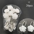 thumbnail image 1 of 20 piezas horquilla de flores para mujer, horquilla de perlas de cristal para boda, horquilla en forma de U, pasadores, accesorios para el cabello, venta al por mayor Tan Jianjun unisex, 1 of 2