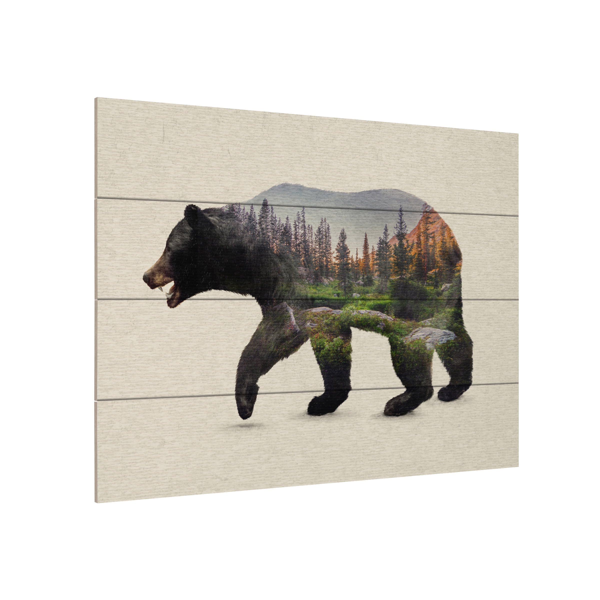 Davies Babies 'The North American Black Bear' Wood Slat Art 12x16