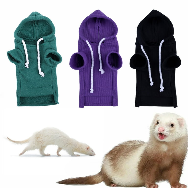 Ferret outlet with hoodie