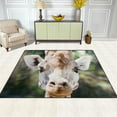 thumbnail image 3 of Coolnut Close Up of Giraffe Face Area Rug Carpet 5x4 Light Weight Polyester for Living Room Bedroom, 3 of 6