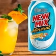 thumbnail image 2 of Pack de 24 Bebida Preparada New Mix Naranja Lata 473 ml, 2 of 3