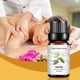 thumbnail image 5 of Aceite esencial Alivia la fatiga Aceite de aromaterapia 10 ml una esencia, 5 of 5