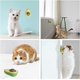 thumbnail image 4 of Bolas de hierba gatera Bolas de hierba gatera de juguete Bola de hierba gatera giratoria de 360 ​​​​° para gatos Bola de hierba gatera montada en la pared utilizada para gatos, limpiar los dientes y atraer gatos (2 unidades) JM, 4 of 5