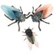 thumbnail image 3 of 3 piezas de modelo de insecto falso juguete cognitivo modelo de cigarra simulación de cigarra falsa juguete de cigarra, 3 of 8
