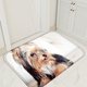 thumbnail image 2 of XWQ Estera de piso a prueba de humedad Todos Match Franel Super Absorbent Hogar Art Supplies XWQ 715087829, 2 of 6