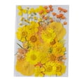 thumbnail image 1 of Matsuzay Flores secas naturales Artísticas Flores prensadas Belleza Joyas Decoraciones Postales decorativas Regalos para tarjetas de boda de resina Flores artificiales Typ 1 Matsuzay HA010799-01, 1 of 6