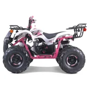 TaoTao T-Force 110cc Fully Automatic Mini Utility ATV
