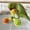 Green, variant on 360° Colorful Rotating Bird Cage Ball Toy with Crisp Bells, Parrot Toy with Rotating Balls, Interactive Parrots Toy Chewable Bells Ball for Parrots, Budgies, Conures, Macaws African Greys (Orange)