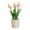 Light yellow, variant on Artificial flower PU feel tulip creative indoor ornaments decorative bonsai
