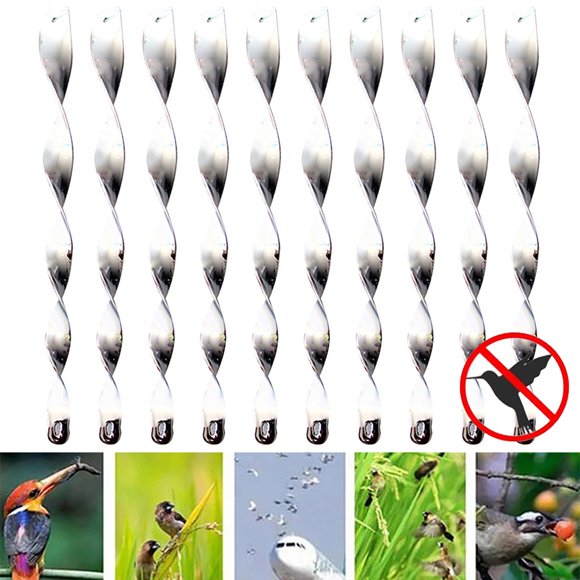 Bird Deterrent