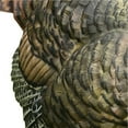 thumbnail image 3 of Avian-X Strutter Lifelike Collapsible Decoy Folding Tom Turkey Hunt Decoy, 3 of 6