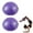 Purple, variant on BESTSKY 2 Pcs Exercise Ball,6.3"*6.3"*3.15" Exercise Balls,Anti-Slip Texture Birthing Ball For Pregnancy,Green