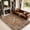 Brown Rust, variant on Toyoso 2x3 Area Rug Big Carpet for Living Room Bedroom Home Decor Washable Oriental Vintage Floral Distressed Rugs Large Indoor Carpets with Non Slip Back for Dining Room Office Floor -Beige Blue