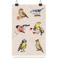 thumbnail image 7 of Poster Prints Wall Paper Art Decor robin birds vintage beige 24x36 inch Photo Picture Poster for Home Bedroom Living Room Kitchen, 7 of 7
