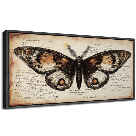 Large Framed Canvas Print Antique Moth Illustration with Handwritten NotesWall Art Decorative Ready to Hang Painting for Living room Bedroom 60x30 inches Black Frame