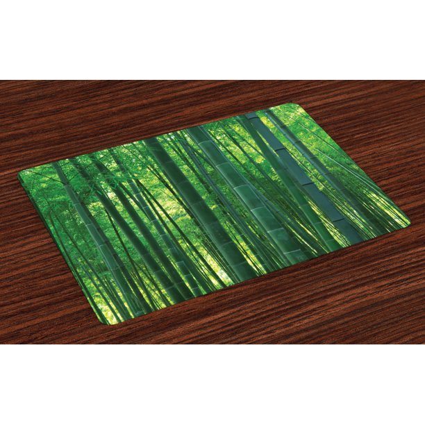 Bamboo Placemats Set of 4 Asian Oriental Exotic Bamboo Trees in the