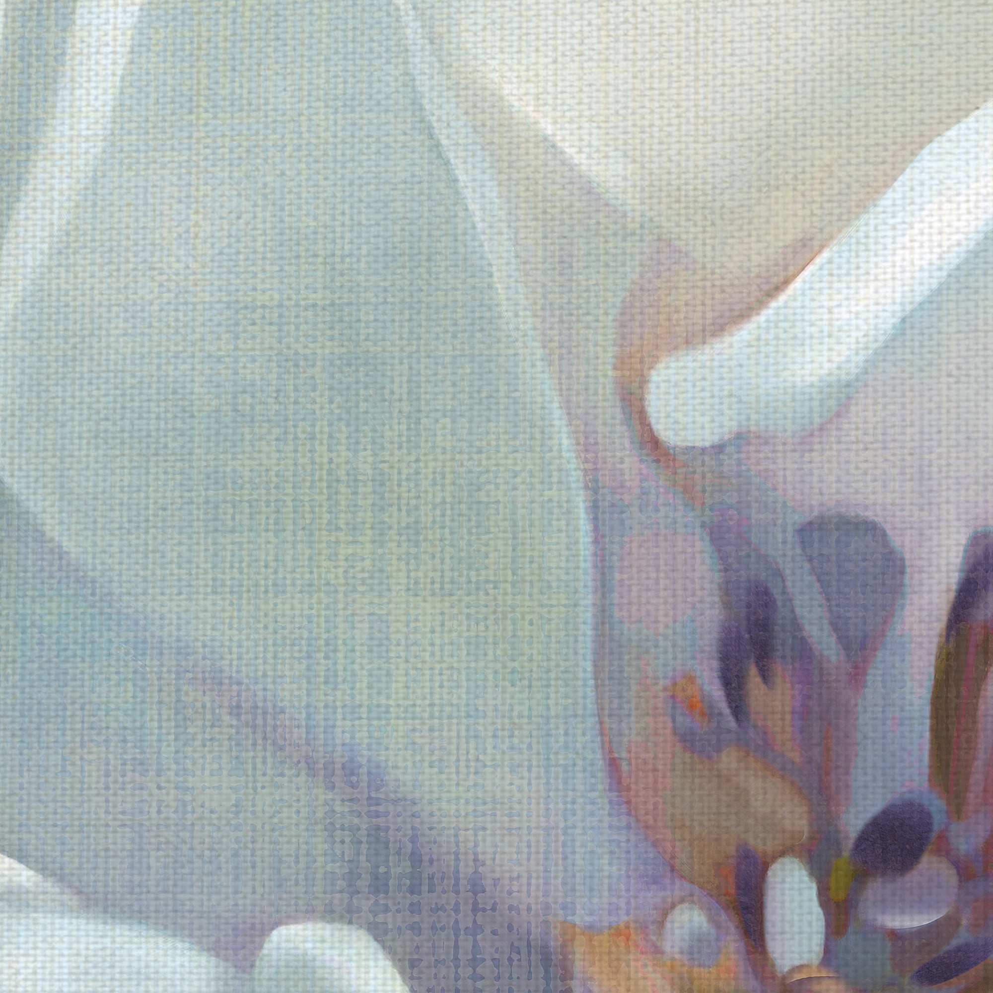 Masterpiece Art Gallery Iridescent Bloom I White Flower By Carol Robinson Canvas Art Print 35" x 35"