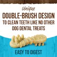thumbnail image 3 of Merrick, Fresh Kisses Brush - Mint - Dog Treat, 3 of 5