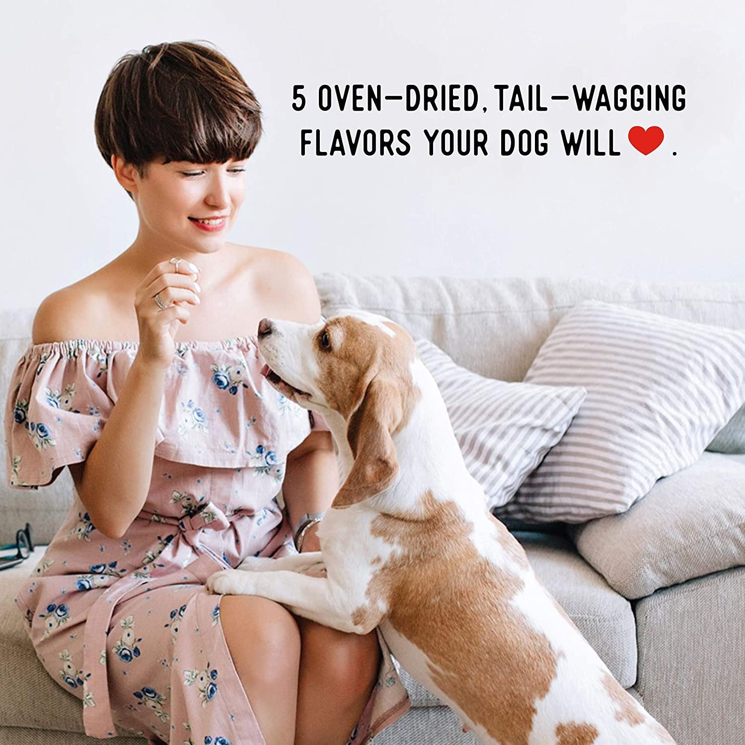 Farmland Traditions Dogs Love Chicken Premium Jerky Treats for Dogs (3 lbs. No Antibiotics Ever USA Raised Chicken)
