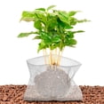 thumbnail image 6 of Uxcell 12" x 6" 1 Gallon Plants Root Guard Stainless Steel Wire Speed Baskets, 6 Pack, 6 of 6