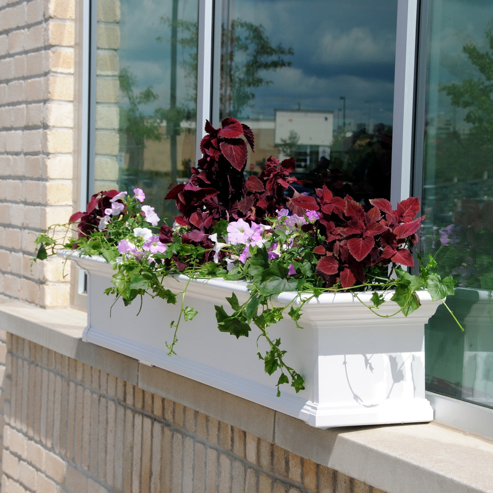 Yorkshire Window Box 8FT White "KD"