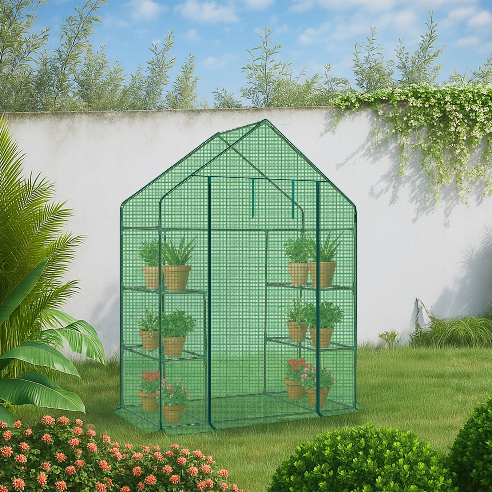 Mini Walk-in Greenhouse 56×29×77 in, 4-Tier Shelf Plant Green House with Waterproof PE Cover, Powder-Coated Steel Frame, Roll-Up Zippered Door for Indoor Outdoor Patio Garden