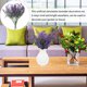 thumbnail image 4 of LOLIPPYY 8Ud Flores Artificiales Lavanda Para De Y Hogar Sin Mantenimiento, 4 of 6