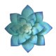 thumbnail image 1 of Decoración de pared de metal grande, 13 pulgadas de hierro suculento estilo de arte de flores para colgar, 1 of 5