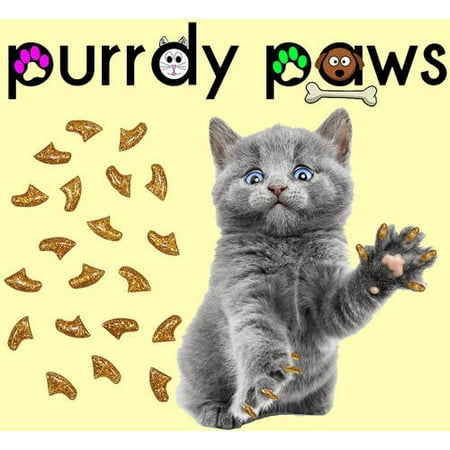Purrdy Paws Soft Nail Caps pour chats, 40-Pack, Kitten Glitter or