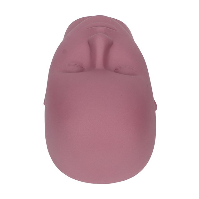 Cara De Muñeca De Cosmetología, Cara De Muñeca De Maniquí De Silicona Suave De Alta Elasticidad Reutilizable Lavable Para Practicar Extensiones De Pestañas Para Belleza Facial ANGGREK Otros