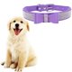 thumbnail image 3 of Methold Decoración para mascotas Cachorro Perro Gato Collar ajustable prop Correa Hebilla Rhinestone PULeather Suministros para perros morado claro L, 3 of 3