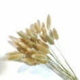 thumbnail image 2 of Decodeary Dry Rabbit Wedding Decor Festival Accessories Multipurpose Long-lasting Arrangements Household Ornamental DIY Prop 1Set, 2 of 6
