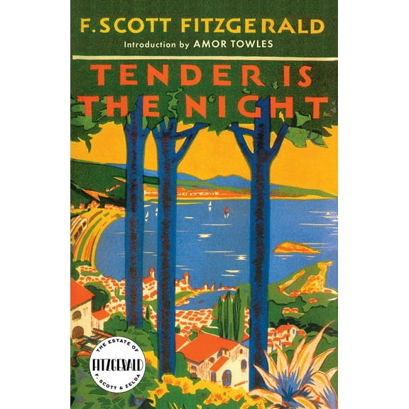 Pre-Owned Tender is the Night (Paperback) 068480154X 9780684801544