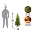 thumbnail image 3 of National Tree Company Artificial Slim Christmas Tree, Green, Kingswood Fir, Includes Stand, 4 Feet, 3 of 5