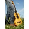 LAMINATED POSTER Classical Guitar Guitar Musical Instrument Poster Print 24 x 36
