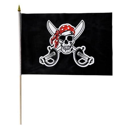 12 x18 pirate skull