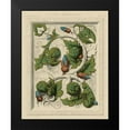 thumbnail image 2 of Vision Studio 15x18 Black Modern Framed Museum Art Print Titled - Decorative Flourish II, 2 of 5