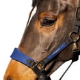 thumbnail image 3 of Whitaker Collier de Tête Cheval Harewood, 3 of 3