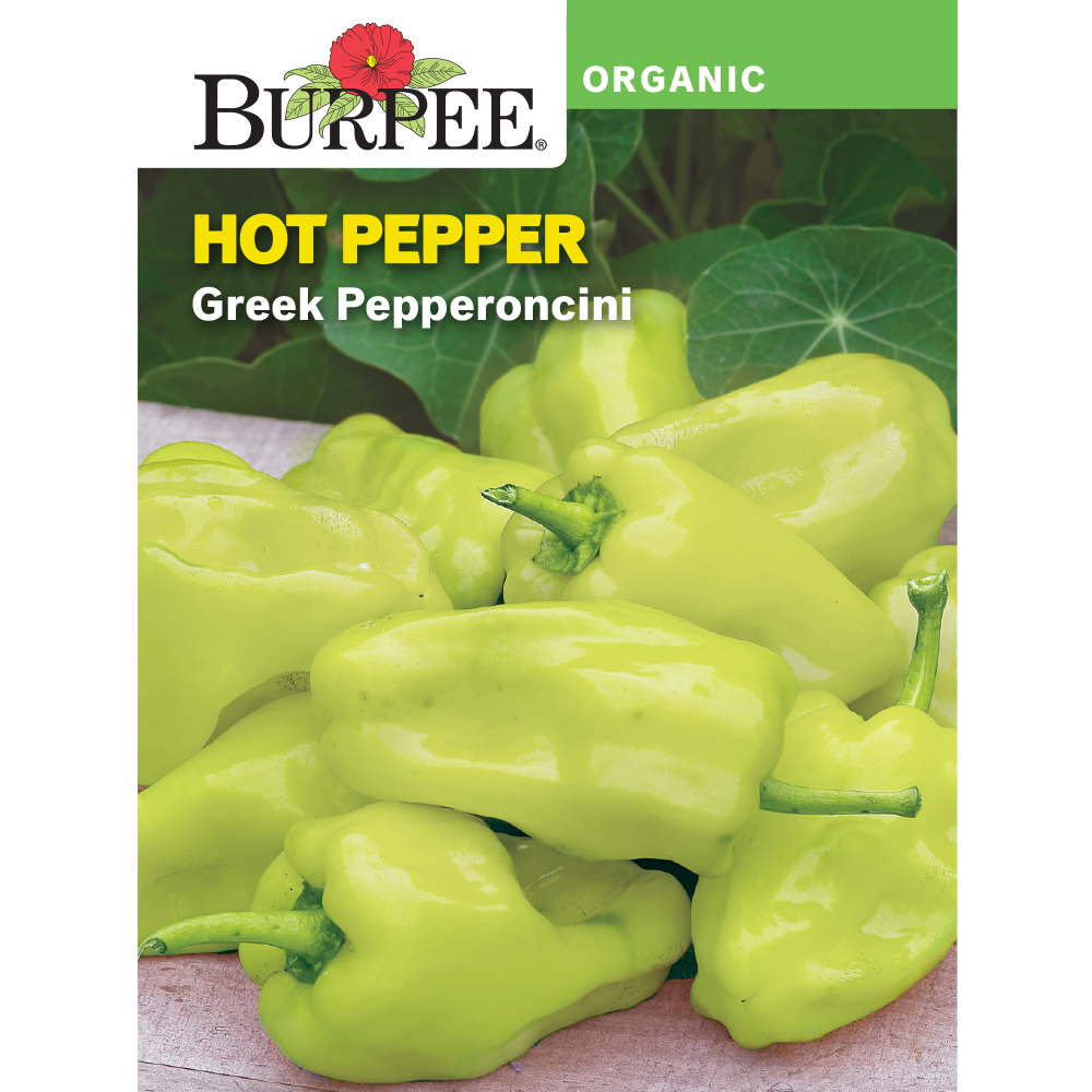 Burpee Organic Greek Pepperoncini Hot Pepper Vegetable Seed, 1pack