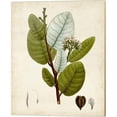 thumbnail image 3 of Metaverse Vision Studio 'Verdant Foliage A' Canvas Art (Set of 2), 3 of 4