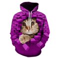 thumbnail image 3 of Sudadera con capucha con estampado 3D de gato lindo para hombres y mujeres, sudadera informal de manga larga de gran tamaño, sudaderas para hombres, 3 of 4
