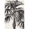 thumbnail image 3 of Wild Apple Portfolio 11x14 Black Modern Framed Museum Art Print Titled - Riviera Palms II BW, 3 of 5