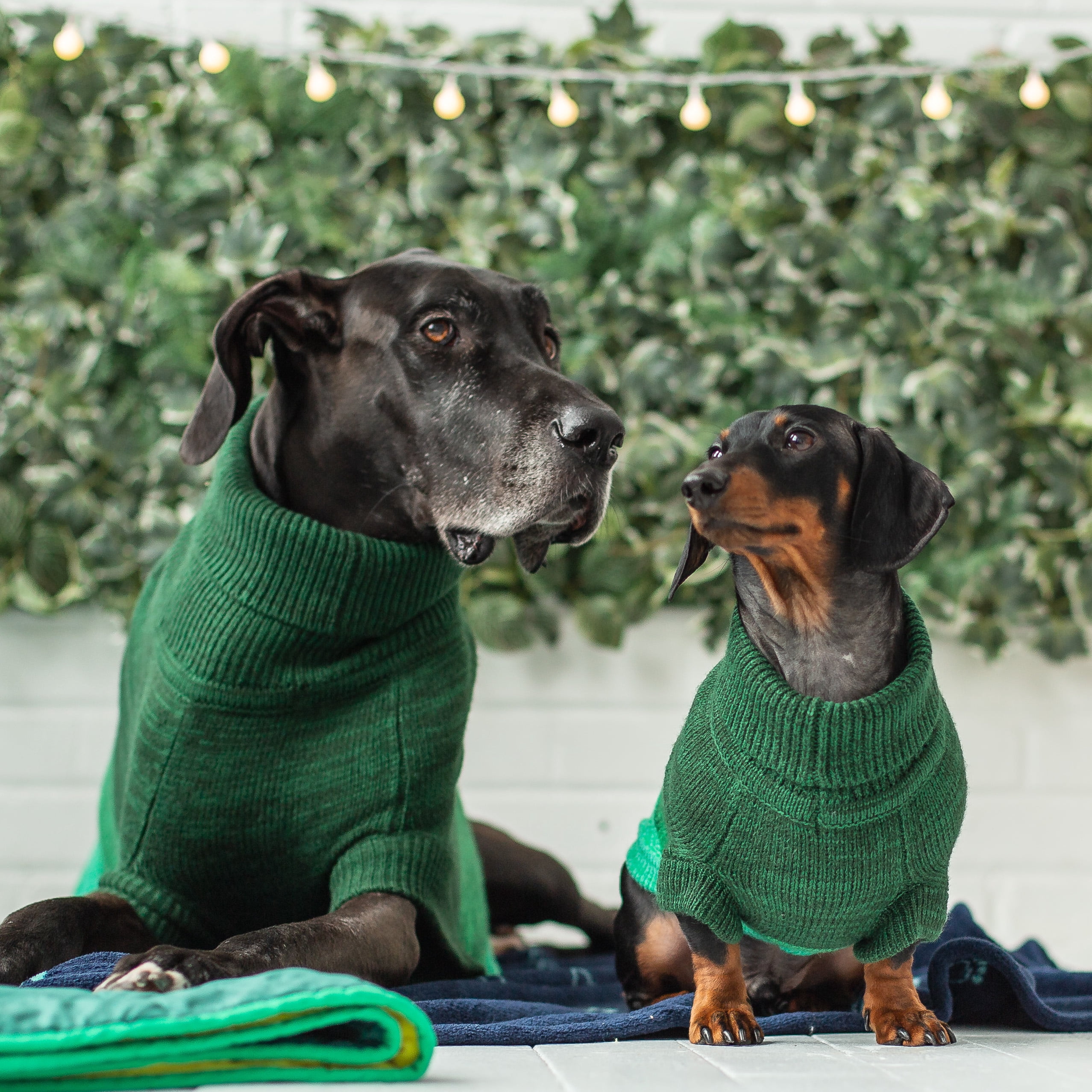 GF PET Trail Dog Sweater Apparel for Small Medium Large Dogs Pets, Forest, XL