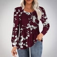 thumbnail image 2 of Aloohaidyvio Women's Summer Tunic Tops Pleated Long Sleeve Shirts 2025 Crew Neck Dressy Blouses Spring Casual T-Shirts, 2 of 5