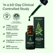 Betterbrand Mullein Drops for Lung Detox - Mullein Leaf Tincture with Chlorophyll - Helps support respiratory health, Alcohol-Free, 1 month supply - 60ml