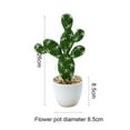 thumbnail image 2 of Artificial tropical plant simulation cactus bonsai artificial simulation potted plant, 2 of 5
