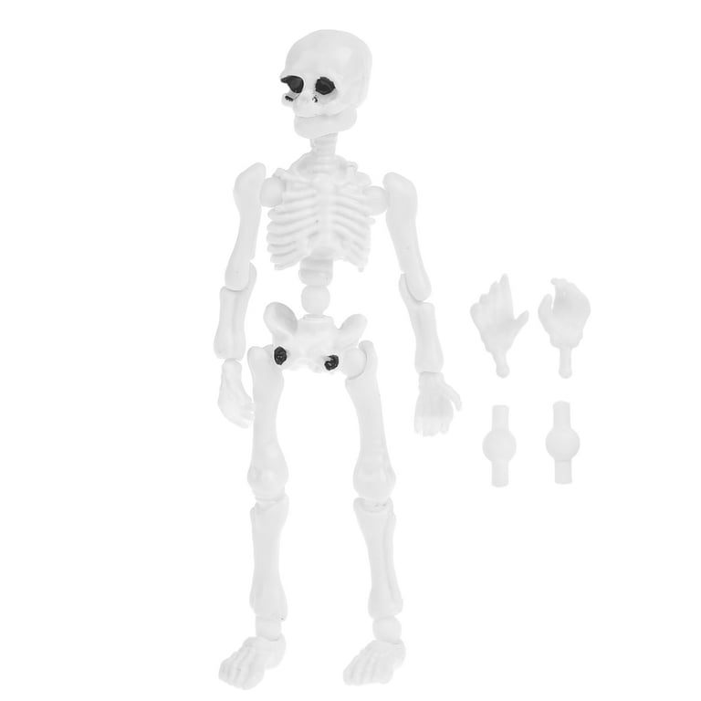 JZROCKER Movable Mr. Bones Skeleton Human Model Skull Full