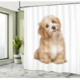 thumbnail image 4 of Ambesonne Dog Shower Curtain, Happy Havanese Puppy Picture, 69"Wx84"L, Pale Caramel Almond and Tan, 4 of 4
