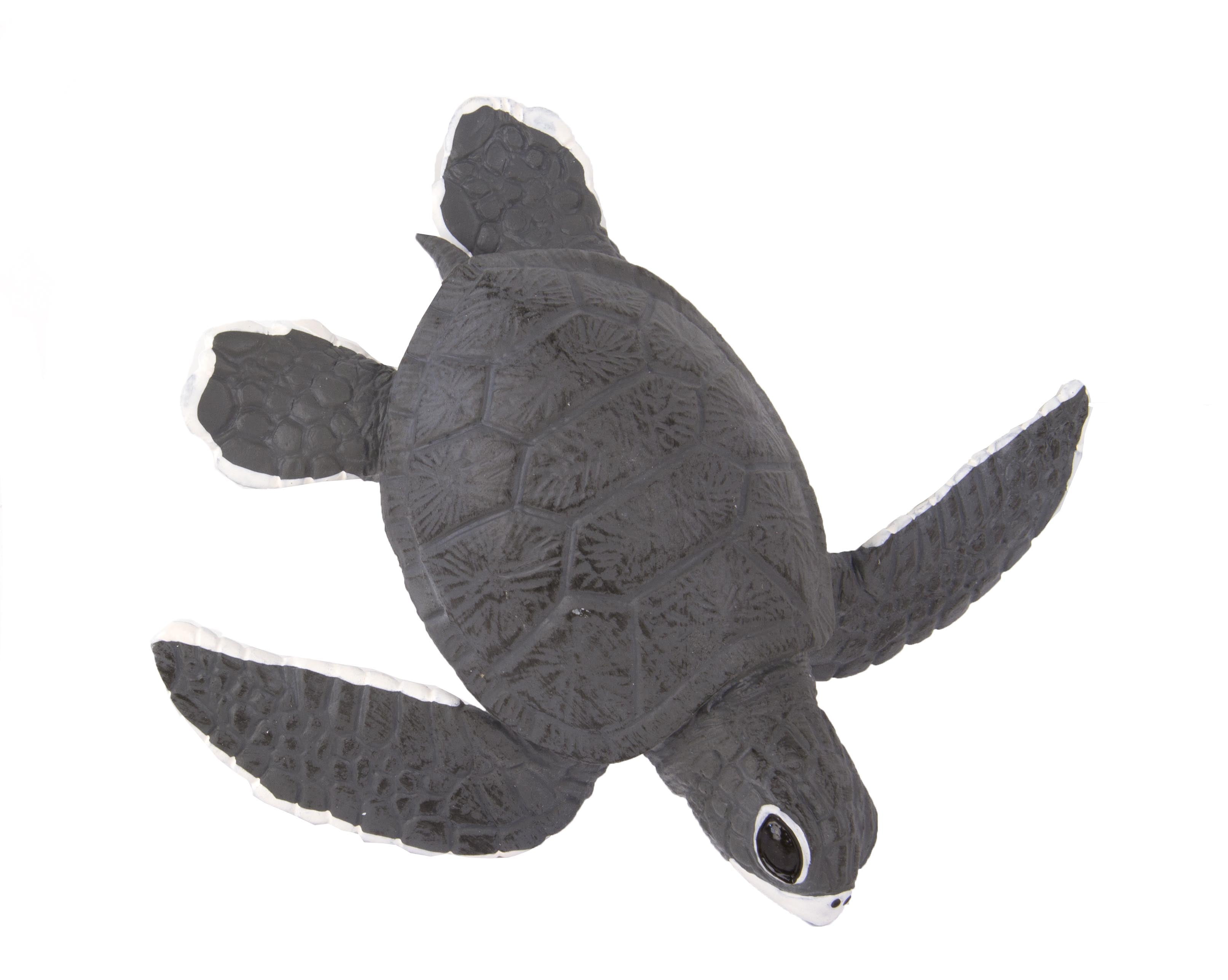 Safari Ltd Incredible Creatures Sea Turtle Baby 